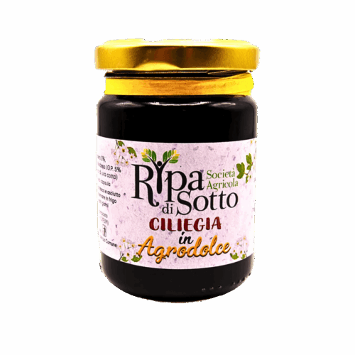 A 6 copia